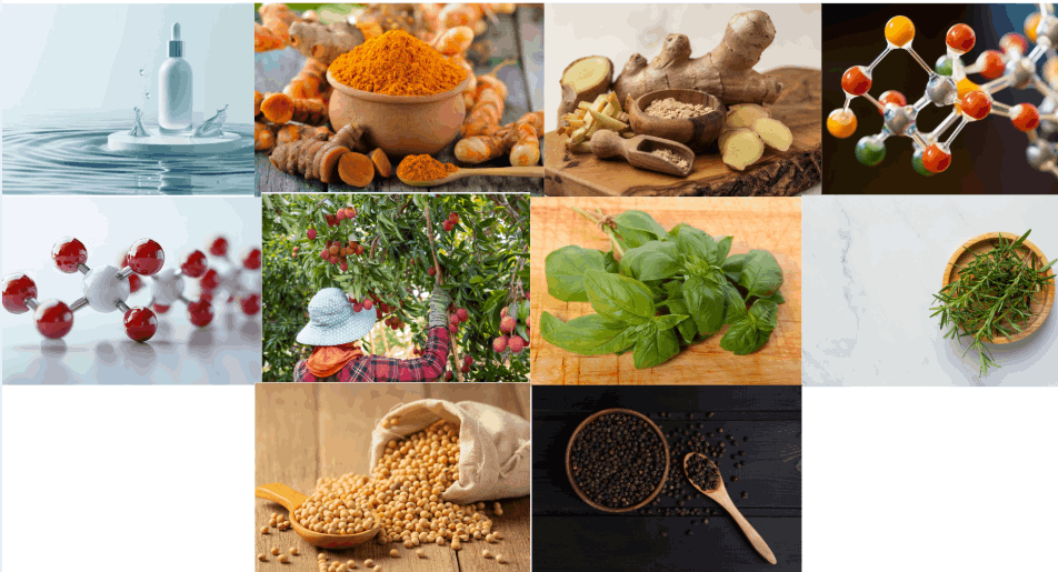 Joint N-11_Ingredients